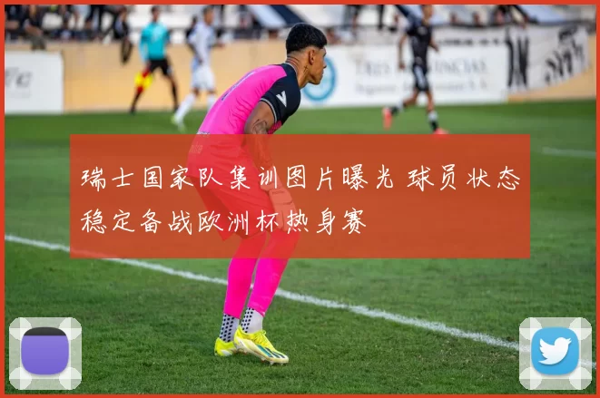 瑞士国家队集训图片曝光 球员状态稳定备战欧洲杯热身赛