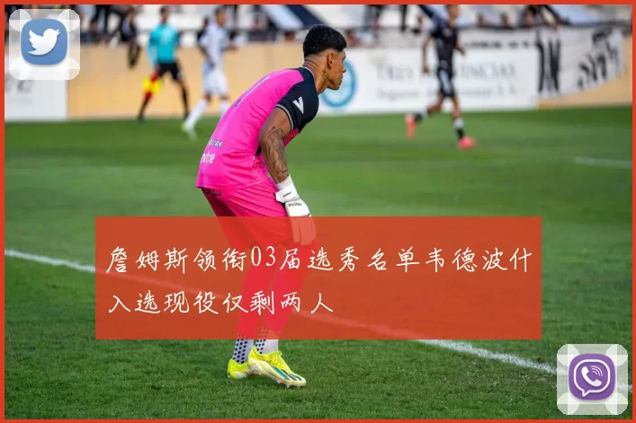 詹姆斯领衔03届选秀名单韦德波什入选现役仅剩两人